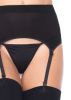 Zara Garter Belt And Stocking - One Size - Black
