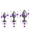 Purple Round Gem Anal Trainer Kit - Gunmetal