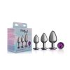 Purple Round Gem Anal Trainer Kit - Gunmetal