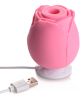 The Rose Lover'S Gift Box Bloomgasm - Pink